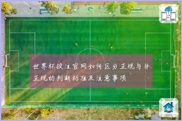 世界杯投注官网如何区分正规与非正规的判断标准及注意事项