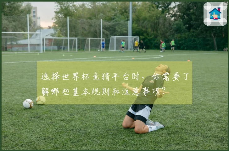 选择世界杯竞猜平台时，你需要了解哪些基本规则和注意事项？