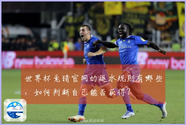 世界杯竞猜官网的返水规则有哪些，如何判断自己能否获得？